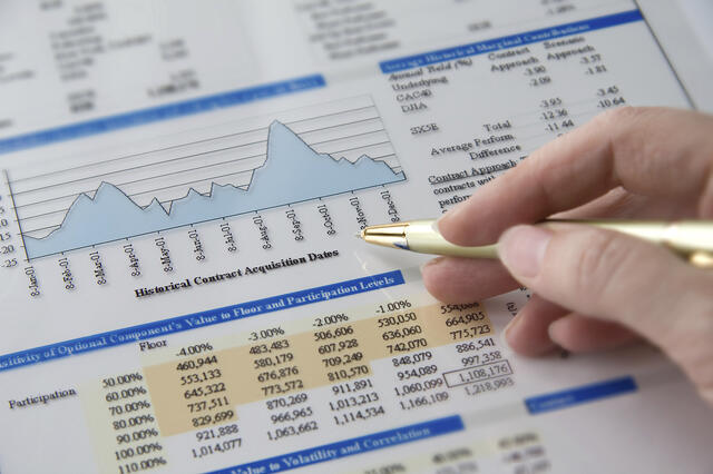 Analyse des principaux types de contrôle financier