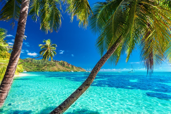 Voyage d’affaires en Polynésie