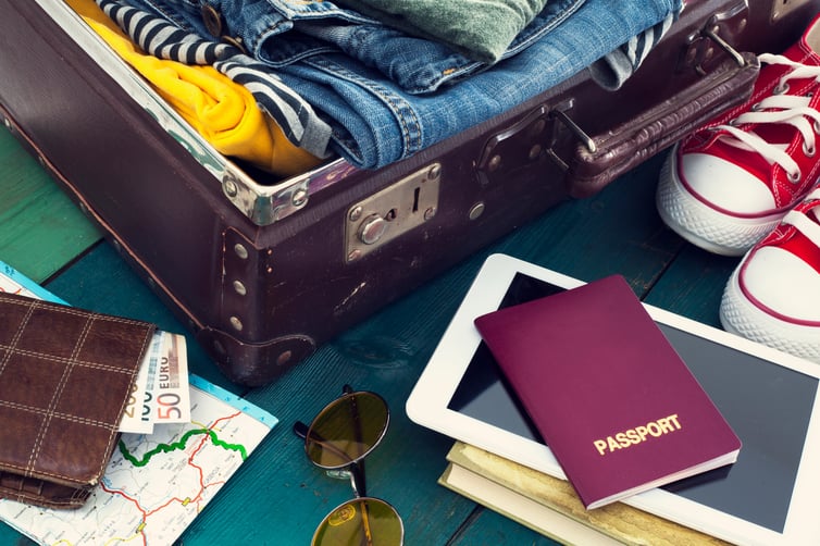 valise costume