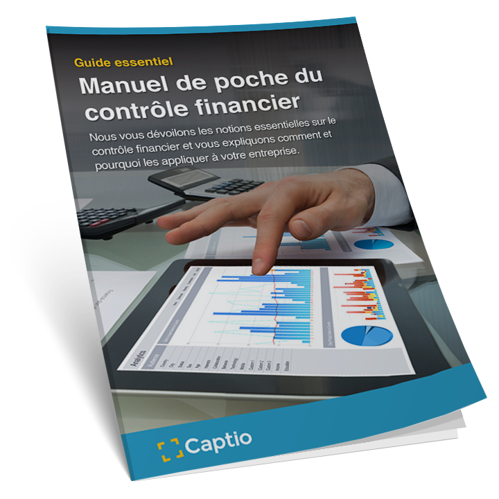 Manuel de poche pour le contrôle financier - eBooks